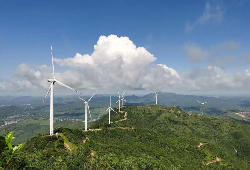 4、bobai forest farm