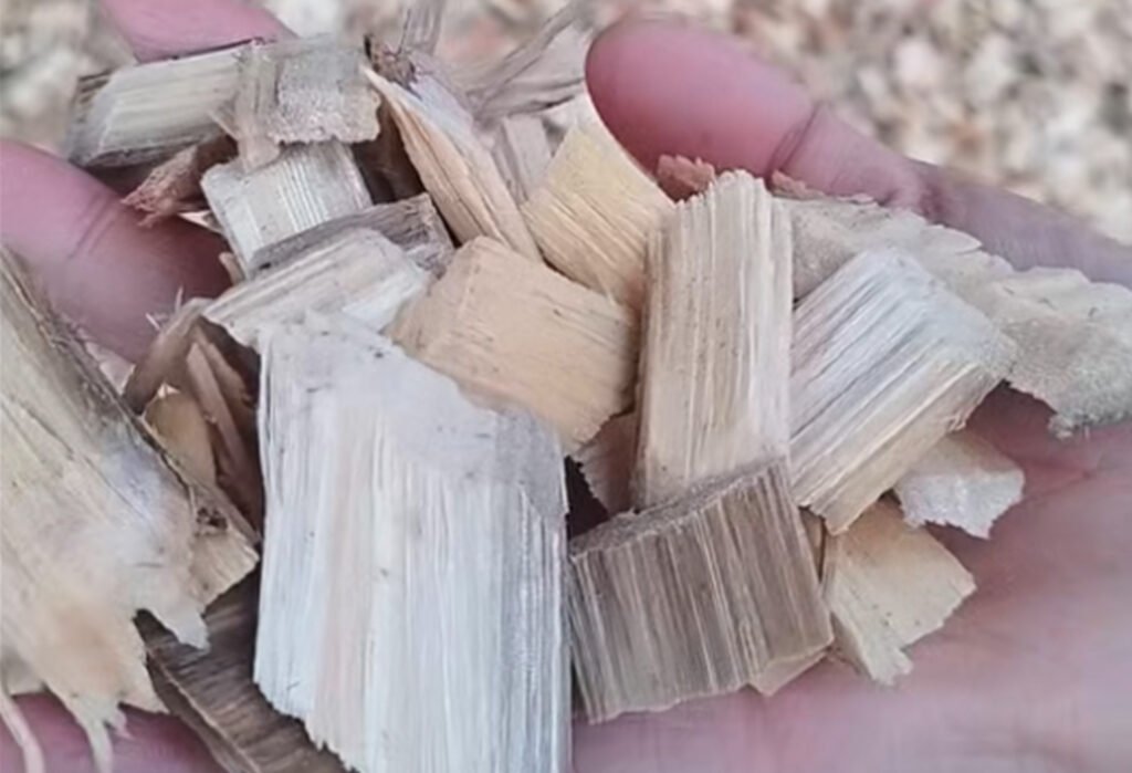 6、eucalyptus wood chips